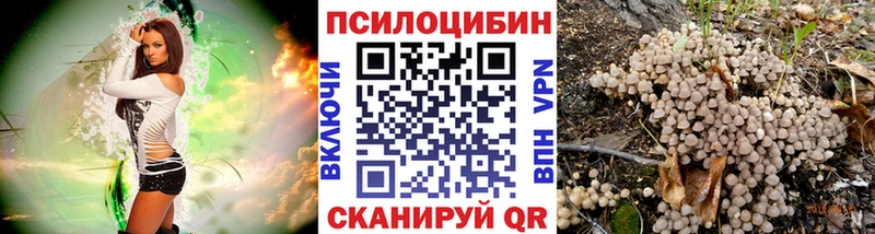 Псилоцибиновые грибы мухоморы закладка мориарти телеграм Глазов
